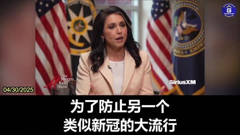 Tulsi Gabbard: Gain-of-Function Research Must Be Ended