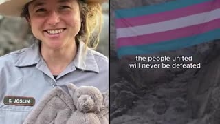 Yosemite biologist fired after hanging a transgender pride flag