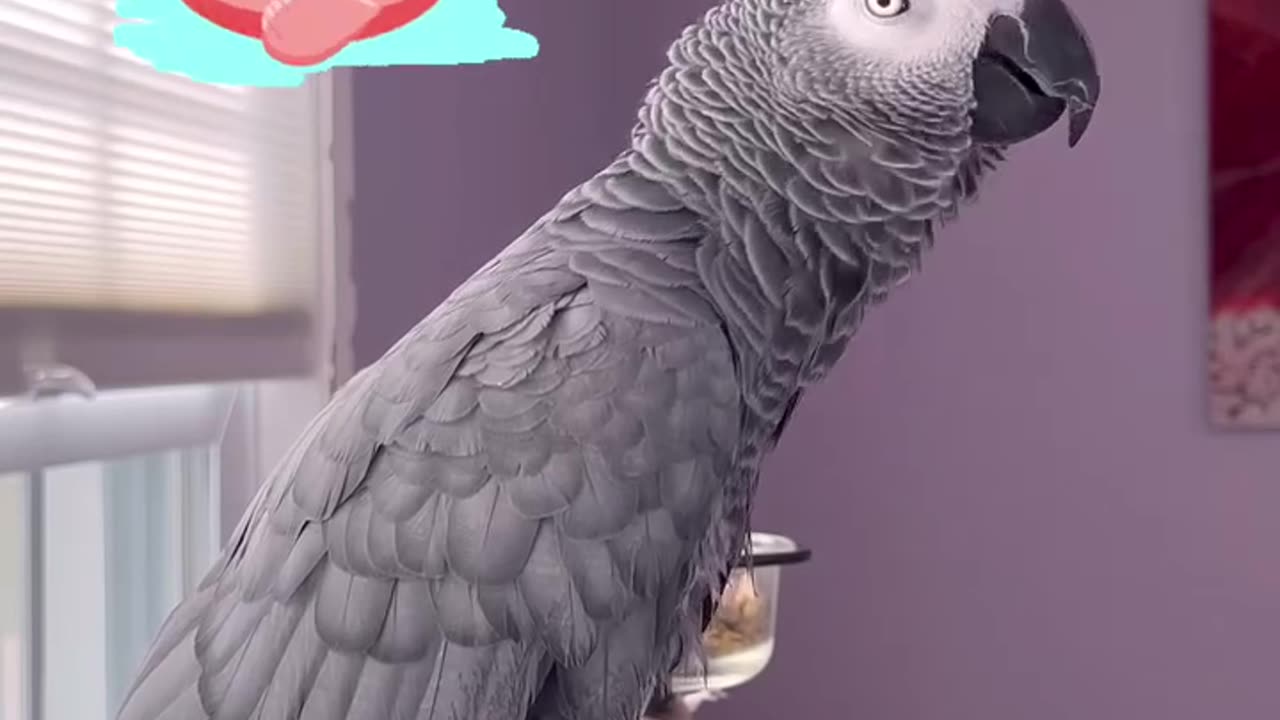 this parrot is feeling hot let’s go vodka! 😂