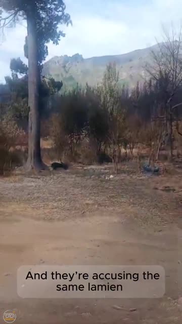 Patagonia was promised to them 3,000 years ago, too. Who knew?! 👇🏻