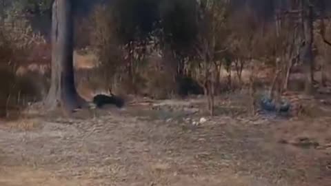 Patagonia was promised to them 3,000 years ago, too. Who knew?! 👇🏻