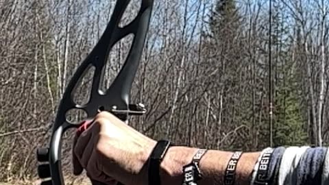 Gabriel Bidrop Arrow rest - crawl middle of the tab