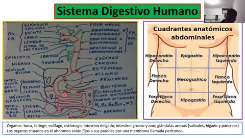 ADC SEMESTRAL PARALELO 2025 | Semana 06 | Biología