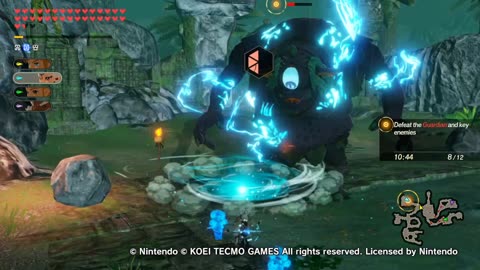 Hyrule Warriors Age Of Calamity Guerreros De Hyrule La Era De Calamidad Deep Woods, Deep Shadow