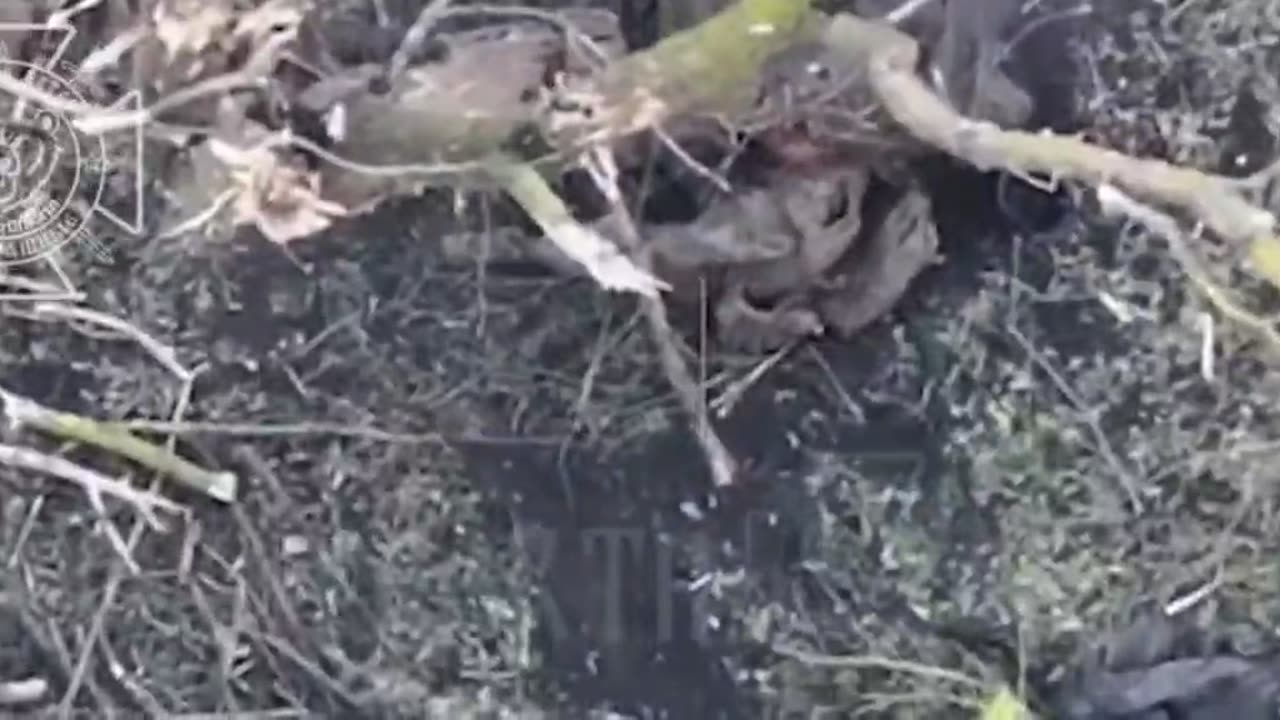 War in ukraine