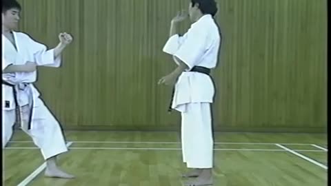 Shorin-Ryu Karate