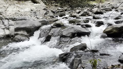 Deep Jungle River Sounds 🌊 | Natural Meditation & Relaxation