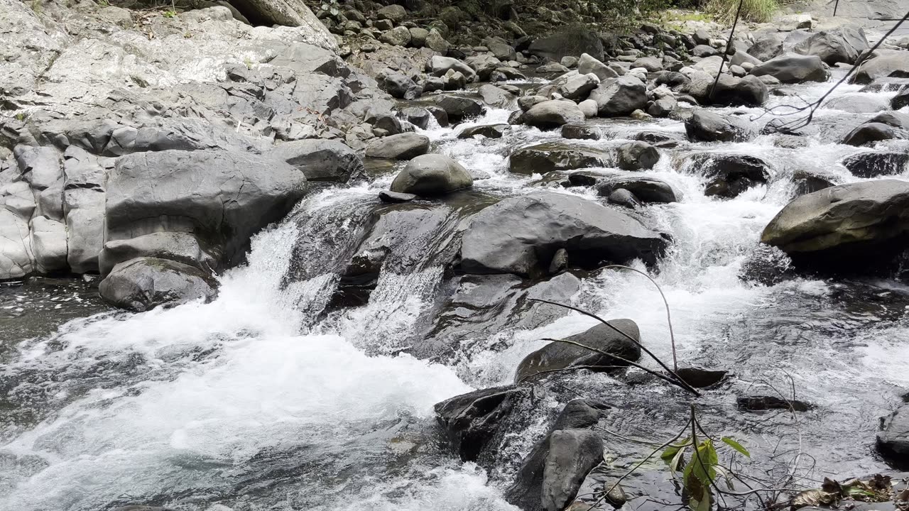 Deep Jungle River Sounds 🌊 | Natural Meditation & Relaxation