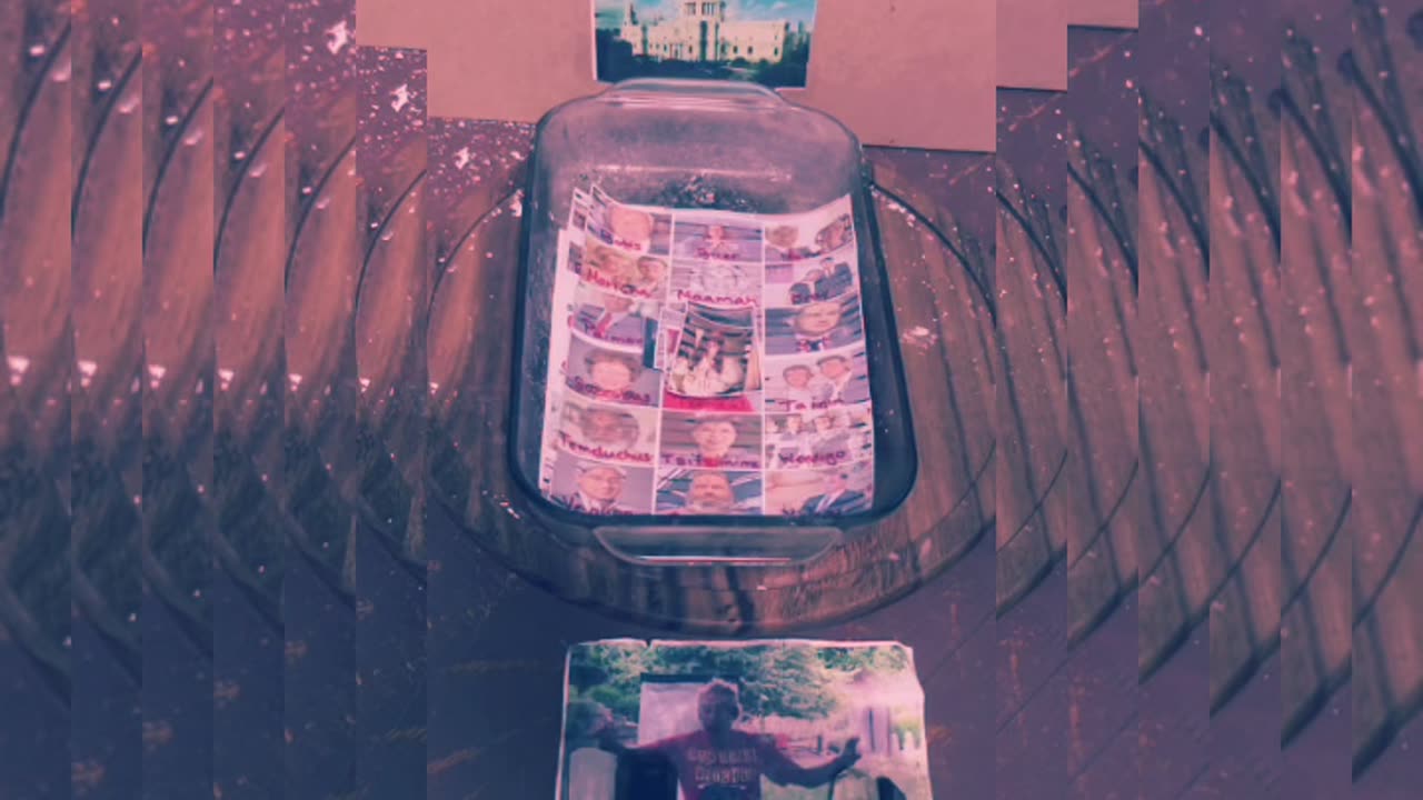 Tim Rifat TikTok Videos