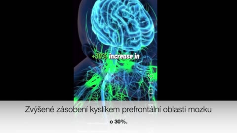 Parfém vs. esenciální olej