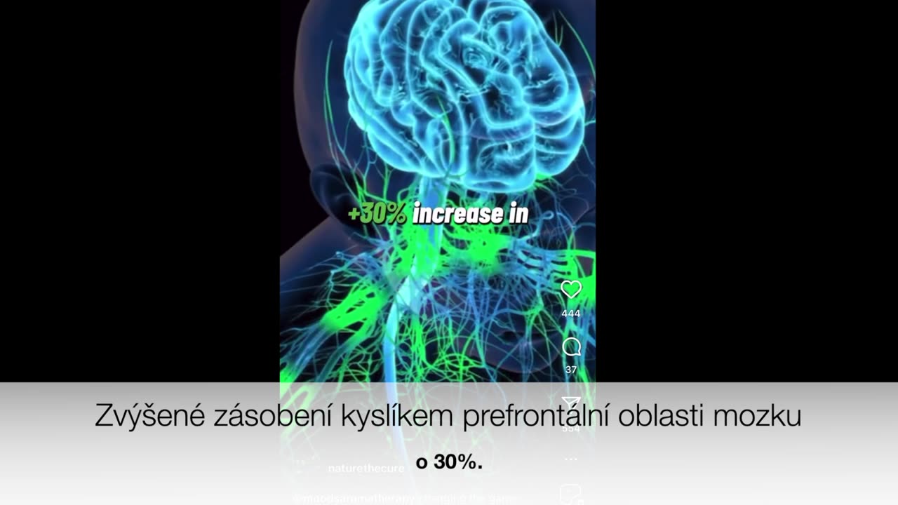 Parfém vs. esenciální olej