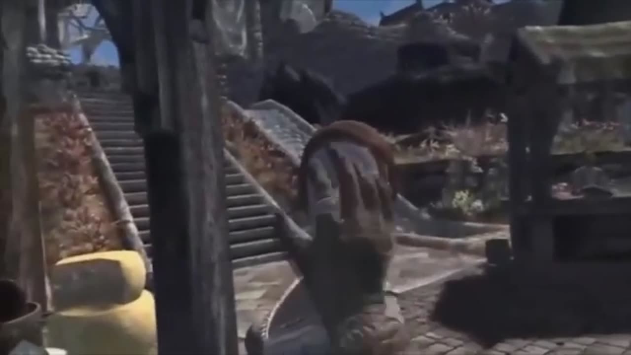 Funny video