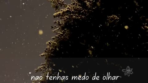 Loja Tática Online
