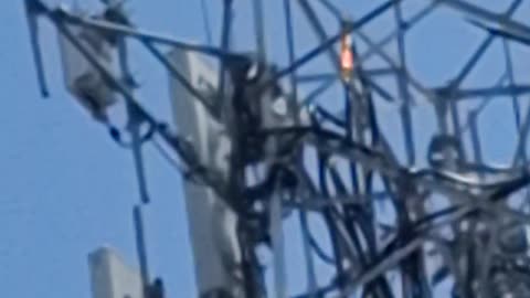 WTF is this Cell Tower doing!?! - Reloaded from Renard
