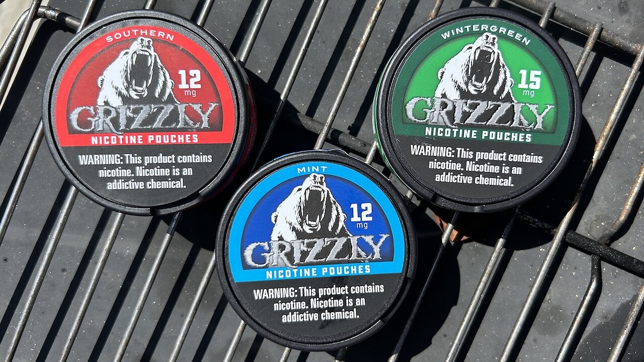 New Grizzly Nicotine Pouches (Review)