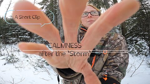 CALMNESS, after the storm | A short clip (Part 2)