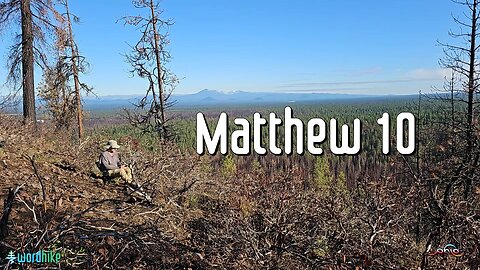 Matthew 10, Bible Reading in Nature, BSB