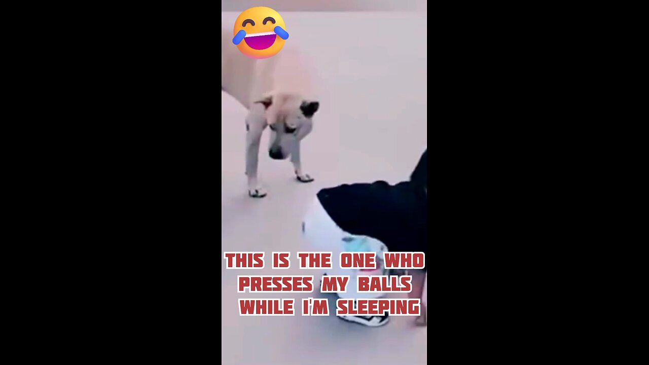 This is the one who presses my balls while I'm sleeping🤣😜