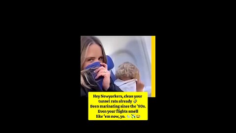 NYC Tunnels Stink… and Now Flights Too? 🐀✈️