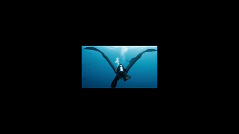 Unbelievable Dive: Scuba Diver Rides Fire-Breathing Dragon Deep
