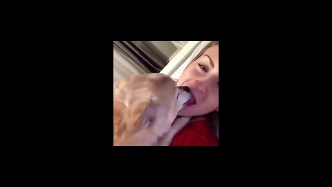 Funny Animal Videos #animals #funnyanimals