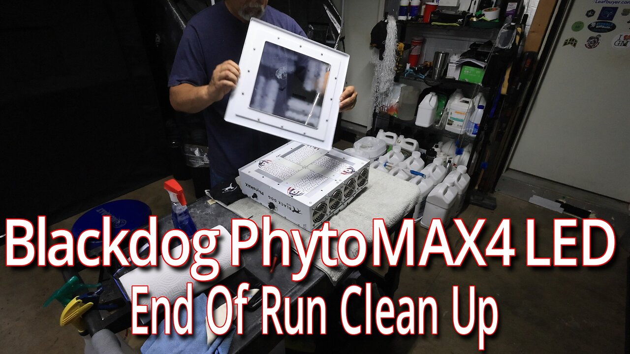 Blackdog PhytoMAX4 LED End Of Flower Cycle Clean Up.