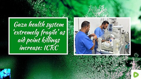 Gaza health system ‘extremely fragile’ as aid point killings increase: ICRC