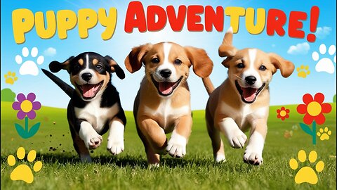 3 Adorable Puppies on an Epic Adventure – Cuteness Overload! 🐾✨