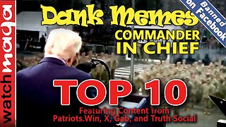 Commander in Chief: TOP 10 MEMES
