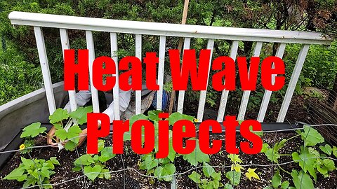 HOT Summer Days! But the Gardening continues
