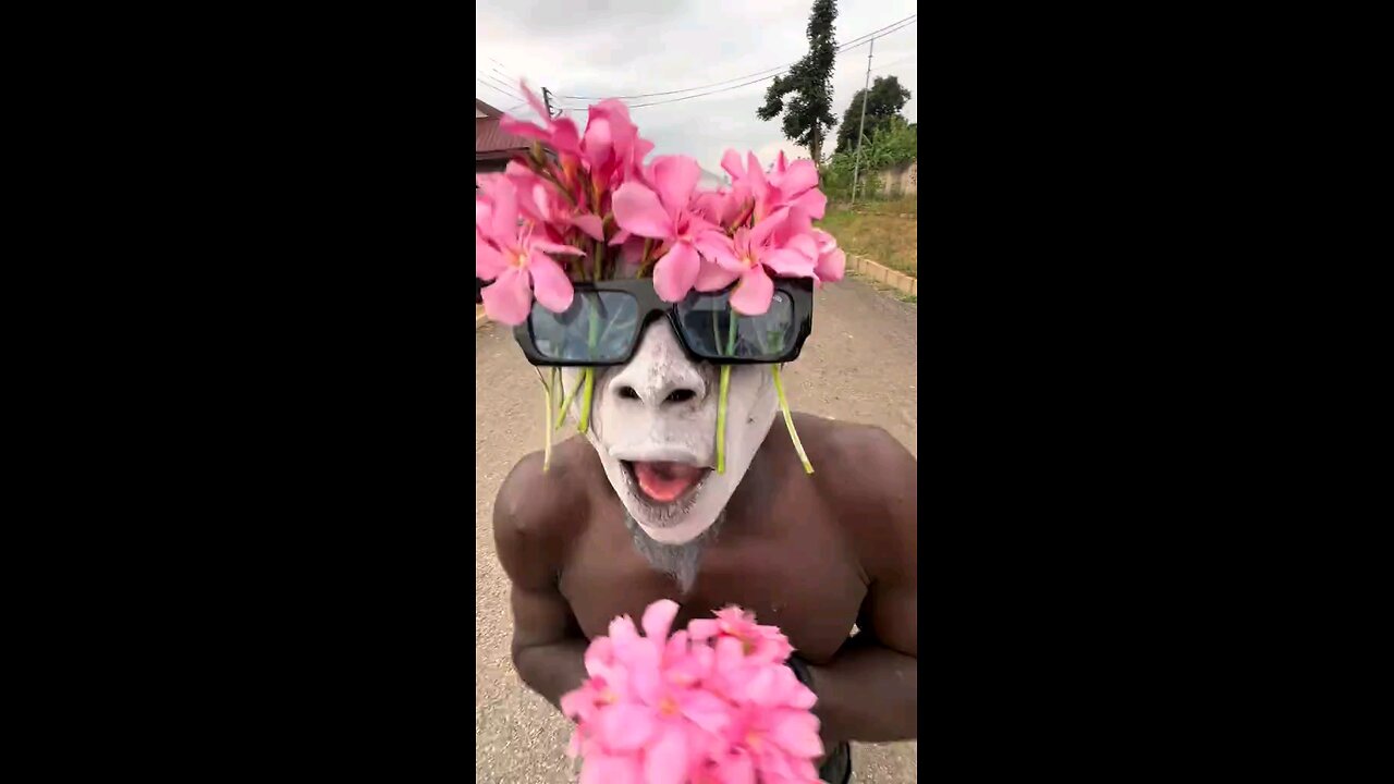 Happy Birthday To You🥰🤣🤣