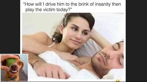 Meme compilation Episodes 311-315.