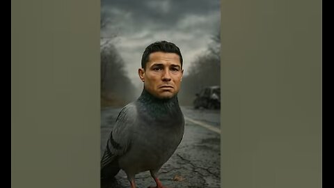 Cry Me A Pigeon - Cristiano Ronaldo ❤️😳🕊️