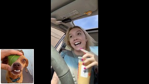 Funny videos compilation 75