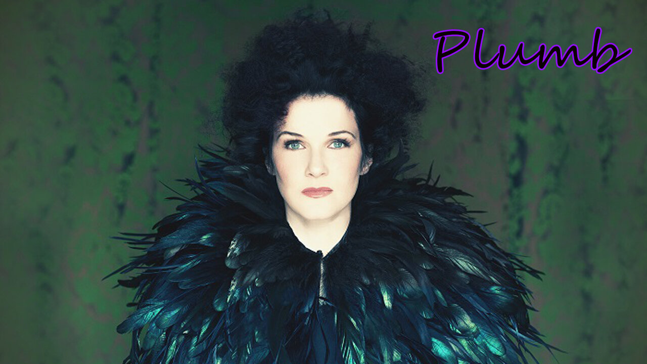 Need You now (How many times) - Plumb - Lyric video