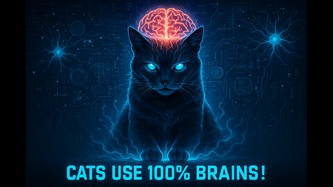 “This Cat’s Brain Power is on ANOTHER LEVEL!”