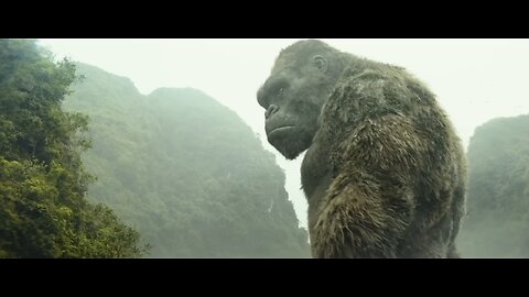 KONG vs GIANT SQUID - Fight Scene - Kong: Skull Island (2017) Movie Clip HD