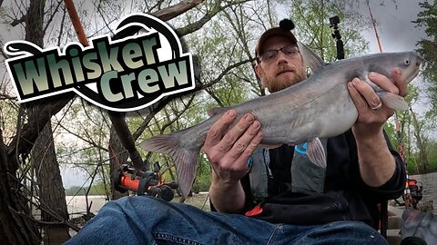 These Flooded waters are loaded with Eaters!