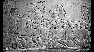 Slaves 'R Us ("Project", 9:13)