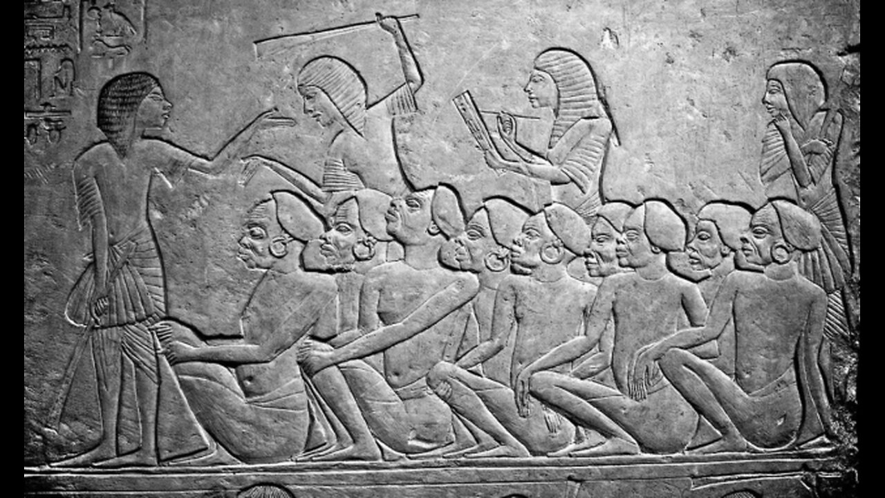 Slaves 'R Us ("Project", 9:13)