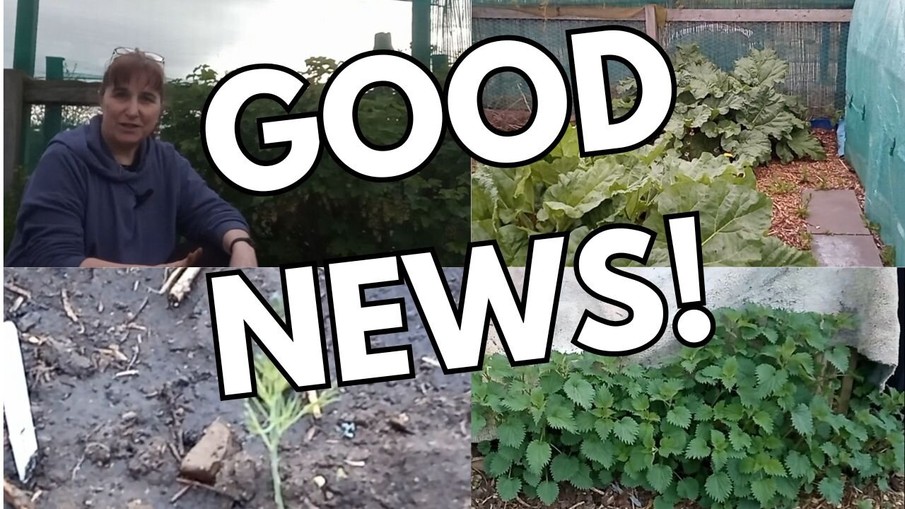 April On The Allotment & Pleasant Surprises!