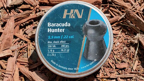 First Impressions: H&N Barracuda .22 Caliber Pellet Review!