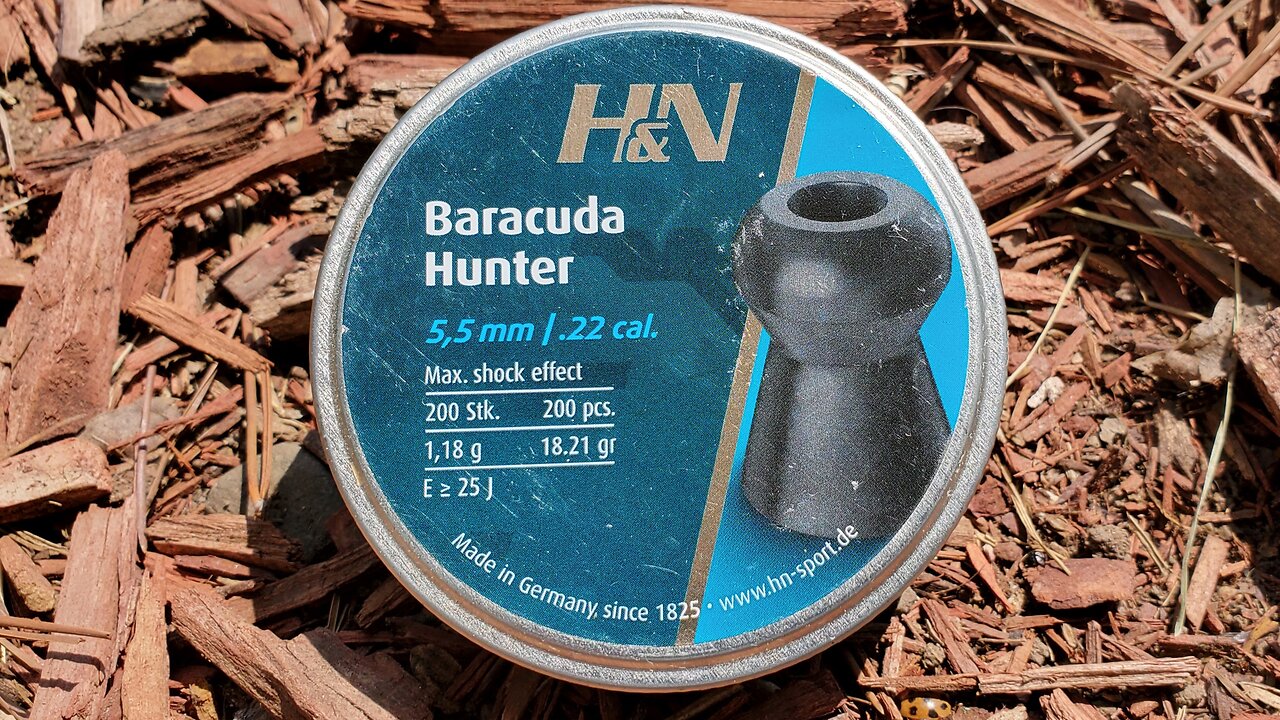 First Impressions: H&N Barracuda .22 Caliber Pellet Review!