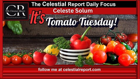 It's Tomato Tuesday!