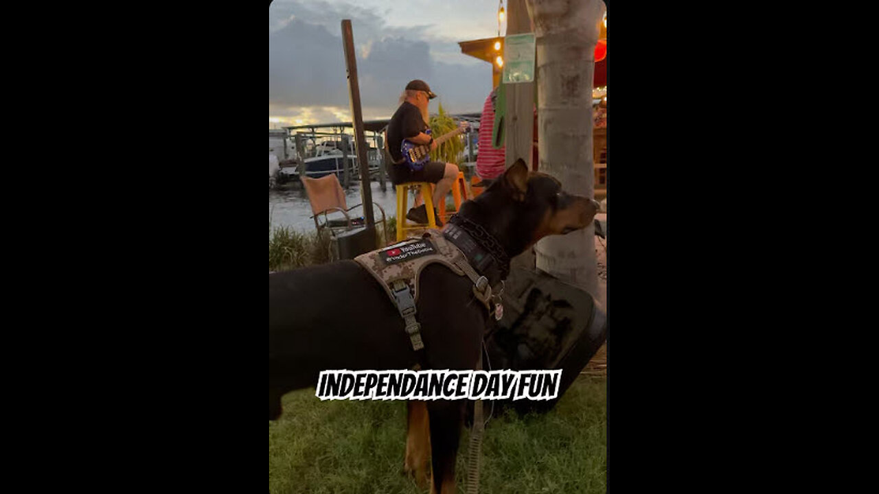 Thunder Rolls & Doberman Vibes at Sunset Tiki Bar 🌩️🎶🐾