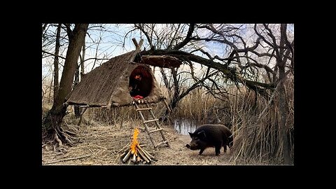 Building a Hanging Tree Shelter – Stay Safe from Wild Boars!