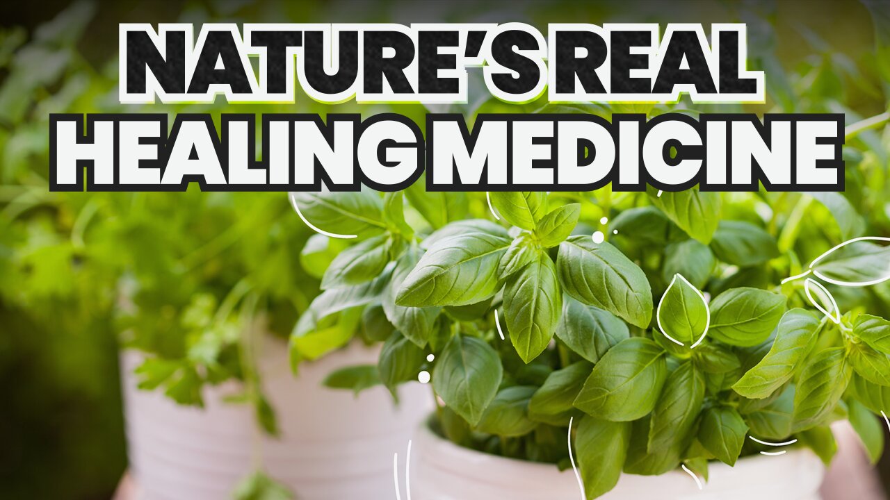 Your Body Was Built for Plants: Nature's Ultimate Healing Medicine
