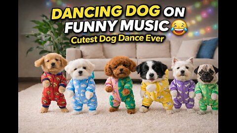 Dancing Dog on Funny Music 🐶😂 | Cutest Dog Dance Ever