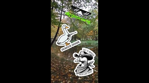🪿 Silly Goose Swag - Link in description!