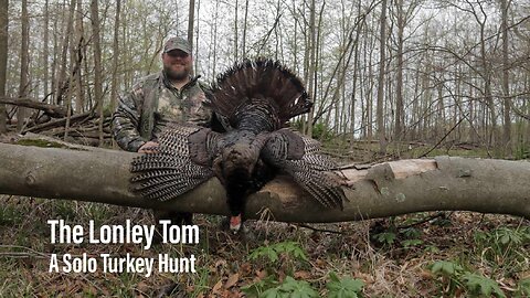 The Lonely Tom. A solo turkey hunt.